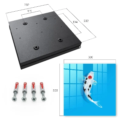 Sleutelkast Koi-vis