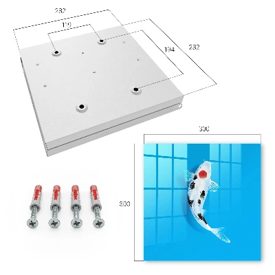 Sleutelkast Koi-vis