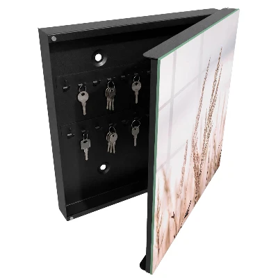 Sleutelkastje binnen Weide elegantie