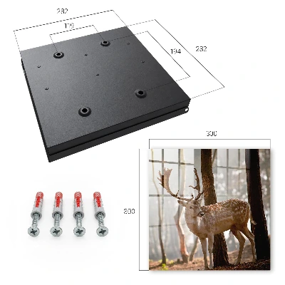 Sleutelkastje binnen Herten in het bos