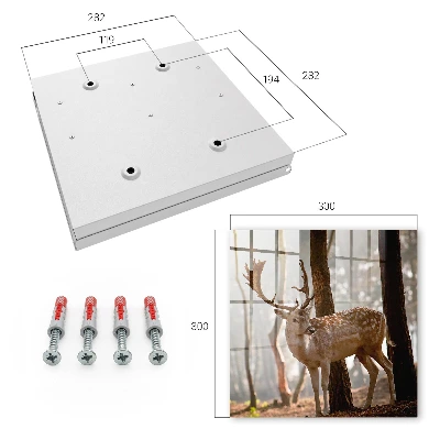 Sleutelkastje binnen Herten in het bos