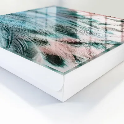 Sleutelkastje hal Pastelkleurige veren