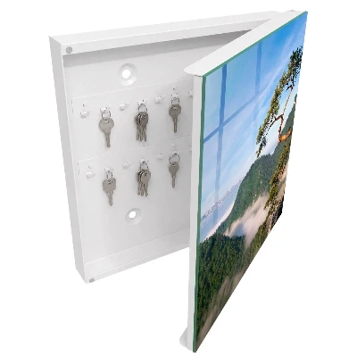 Sleutelkastje hal Berglandschap