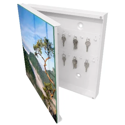Sleutelkastje hal Berglandschap