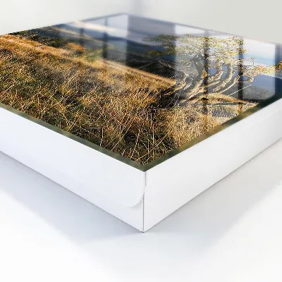 Sleutelkastje binnen Herfstlandschap