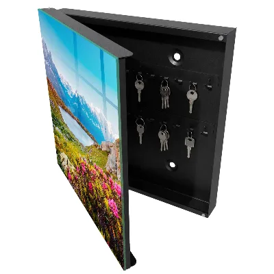 Sleutelkastje hal Berglandschap