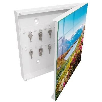 Sleutelkastje hal Berglandschap