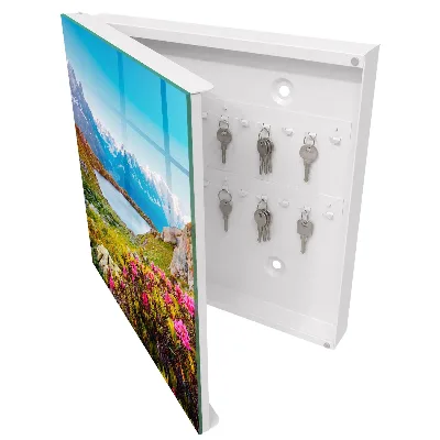 Sleutelkastje hal Berglandschap