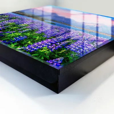Sleutelkastje binnen Berglandschap