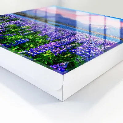 Sleutelkastje binnen Berglandschap