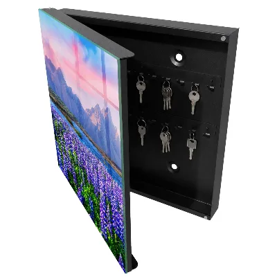 Sleutelkastje binnen Berglandschap