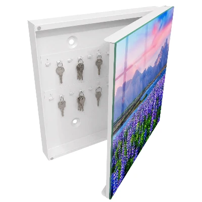 Sleutelkastje binnen Berglandschap