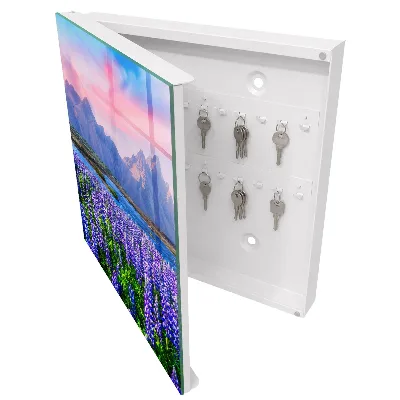 Sleutelkastje binnen Berglandschap