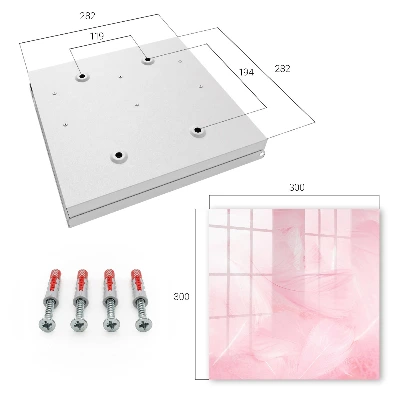 Sleutelkastje binnen Roze veren