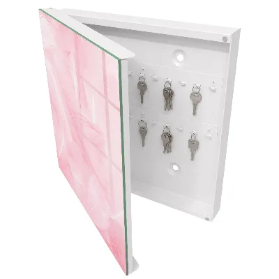 Sleutelkastje binnen Roze veren