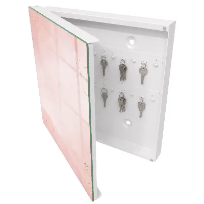 Sleutelkastje binnen Pastel elegantie