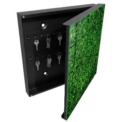Sleutelkastje hal Groene tuin