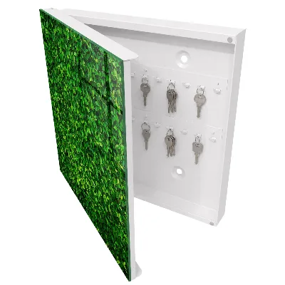 Sleutelkastje hal Groene tuin