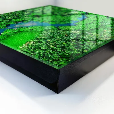 Sleutelkast Groene bossen
