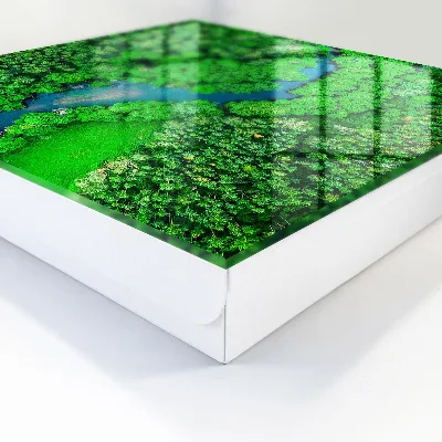 Sleutelkast Groene bossen