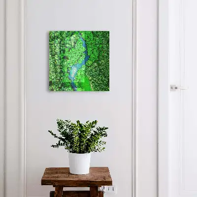 Sleutelkast Groene bossen