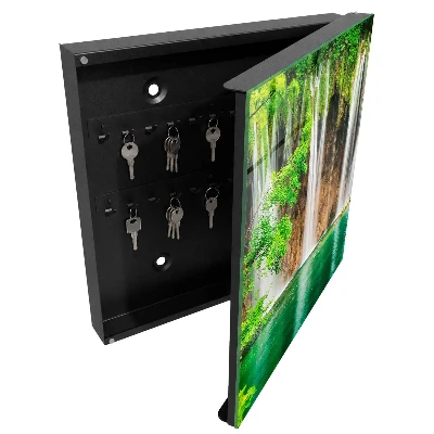 Sleutelkastje hal Groene waterval