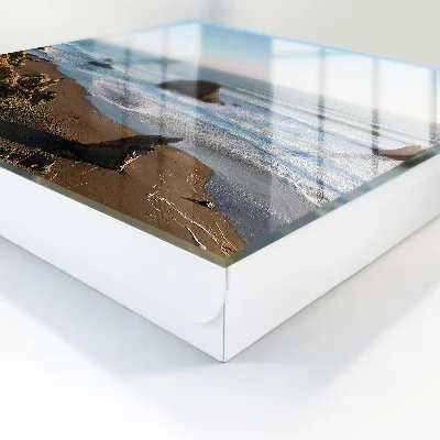 Sleutelkastje hal Kustlandschap