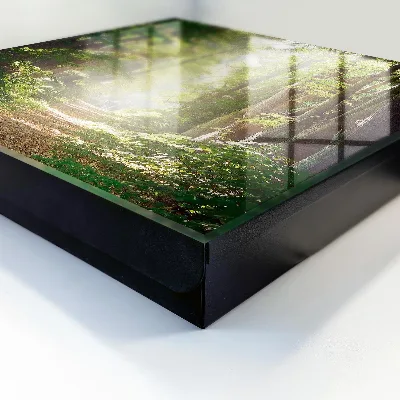 Sleutelkast Boslandschap