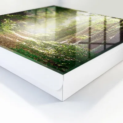 Sleutelkast Boslandschap