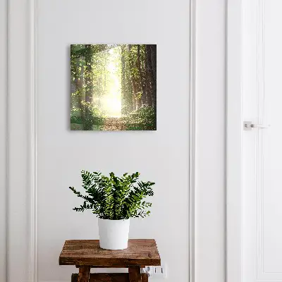 Sleutelkast Boslandschap