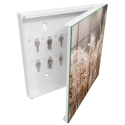 Sleutelkastje binnen Bevroren gras