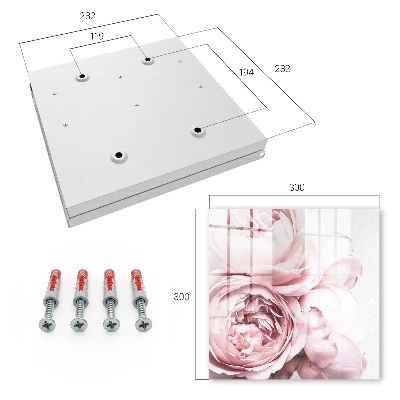 Sleutelkastje hal Roze schoonheid