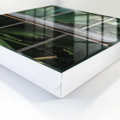 Sleutelkastje hal Groene harmonie