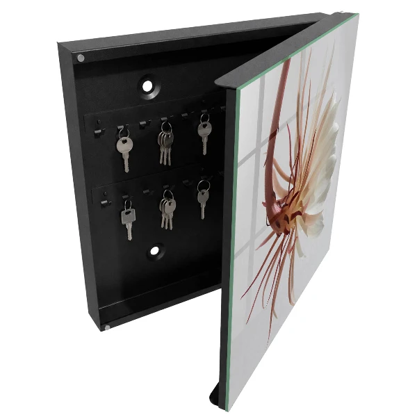 Sleutelkastje binnen De elegantie van de natuur