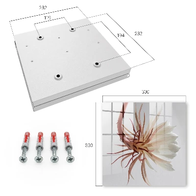Sleutelkastje binnen De elegantie van de natuur