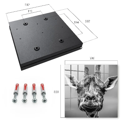 Sleutelkastje binnen Giraffe portret