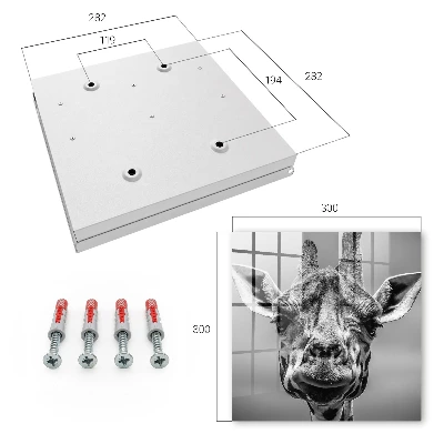 Sleutelkastje binnen Giraffe portret