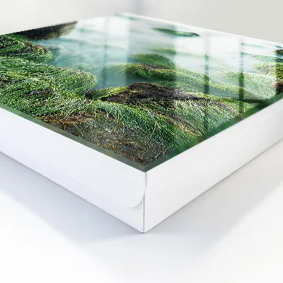 Sleutelkastje binnen Groene golven