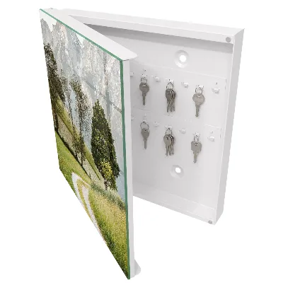 Sleutelkastje hal Berglandschap