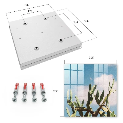 Sleutelkast Groene cactus