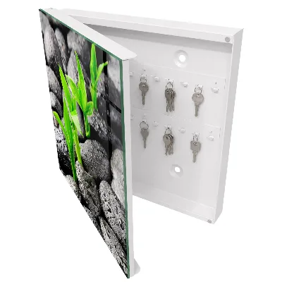 Sleutelkastje hal Groene natuur