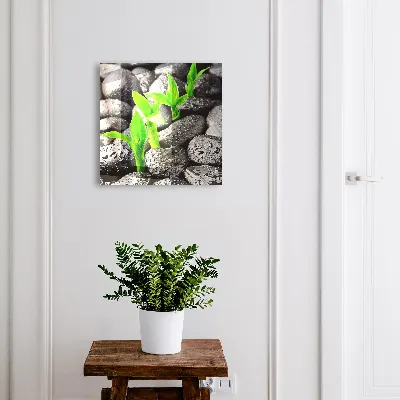 Sleutelkastje hal Groene natuur