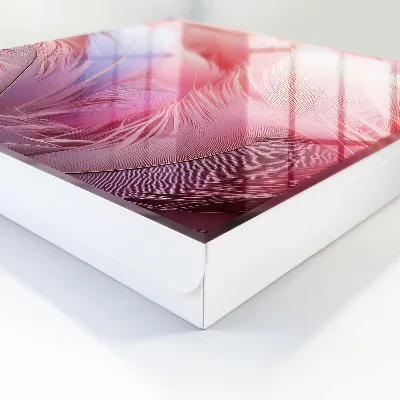 Sleutelkast Prachtige roze veren