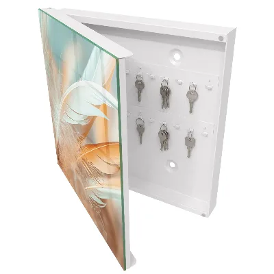 Sleutelkastje binnen Pastelkleurige veren