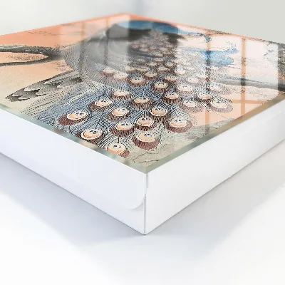 Sleutelkastje binnen Pauw schoonheid