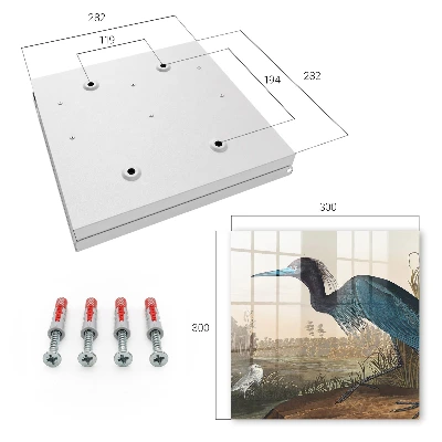 Sleutelkastje binnen Exotische vogel