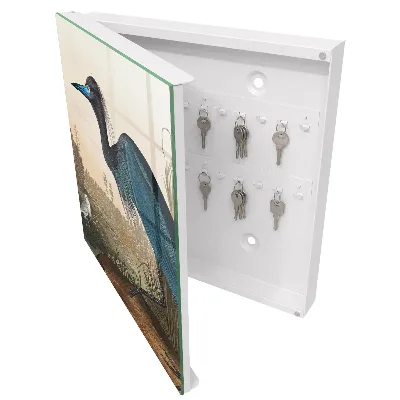Sleutelkastje binnen Exotische vogel
