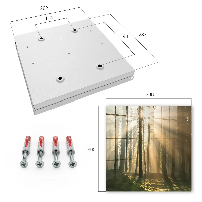 Sleutelkastje binnen Boslicht