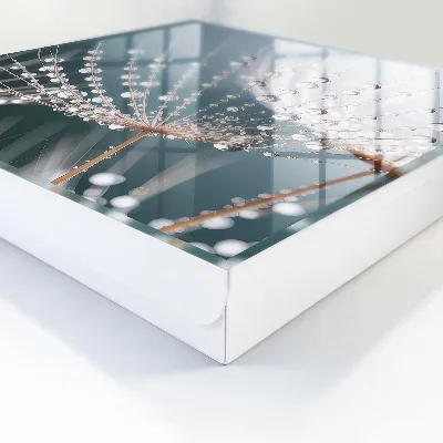 Sleutelkastje binnen waterdruppels