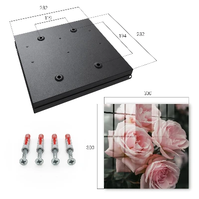 Sleutelkastje hal Roze rozen